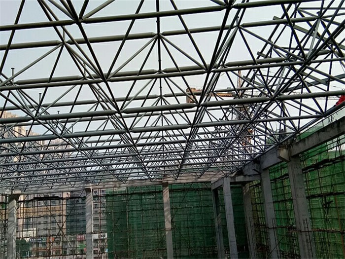 南京光谷第十一小学网架